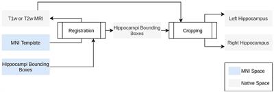 A fast and robust hippocampal subfields segmentation: HSF revealing lifespan volumetric dynamics